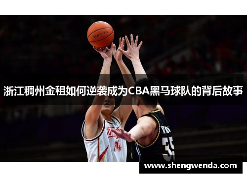 浙江稠州金租如何逆袭成为CBA黑马球队的背后故事